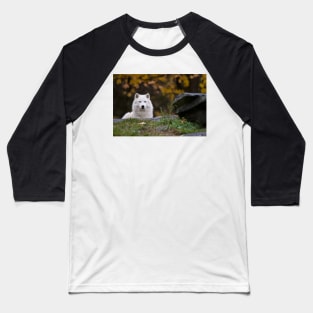 Arctic Wolf Baseball T-Shirt